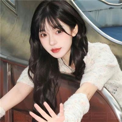 立案侦查海报